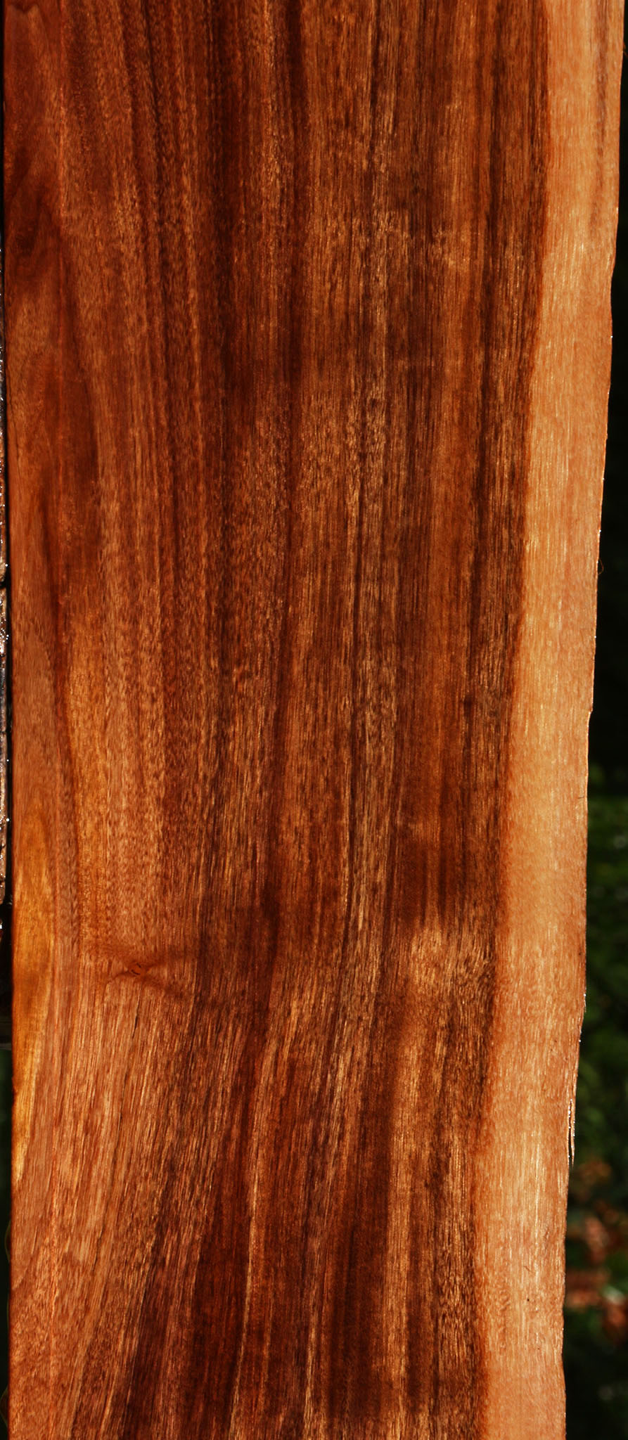 Patagonian Rosewood Live Edge Lumber