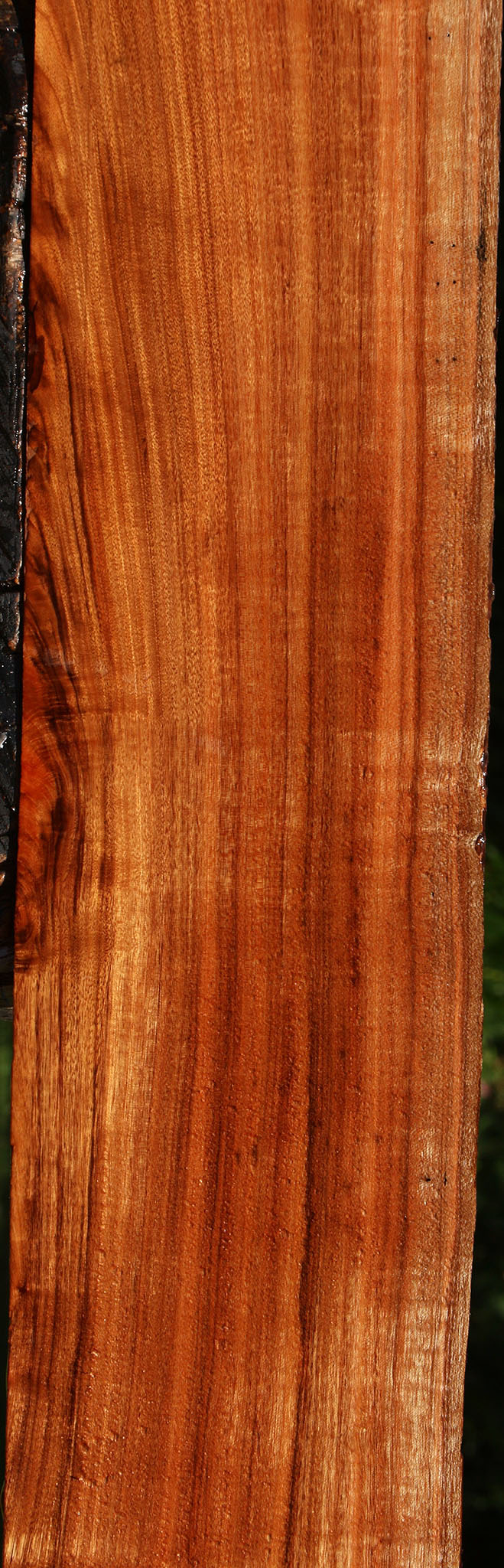 Figured Patagonian Rosewood Live Edge Lumber