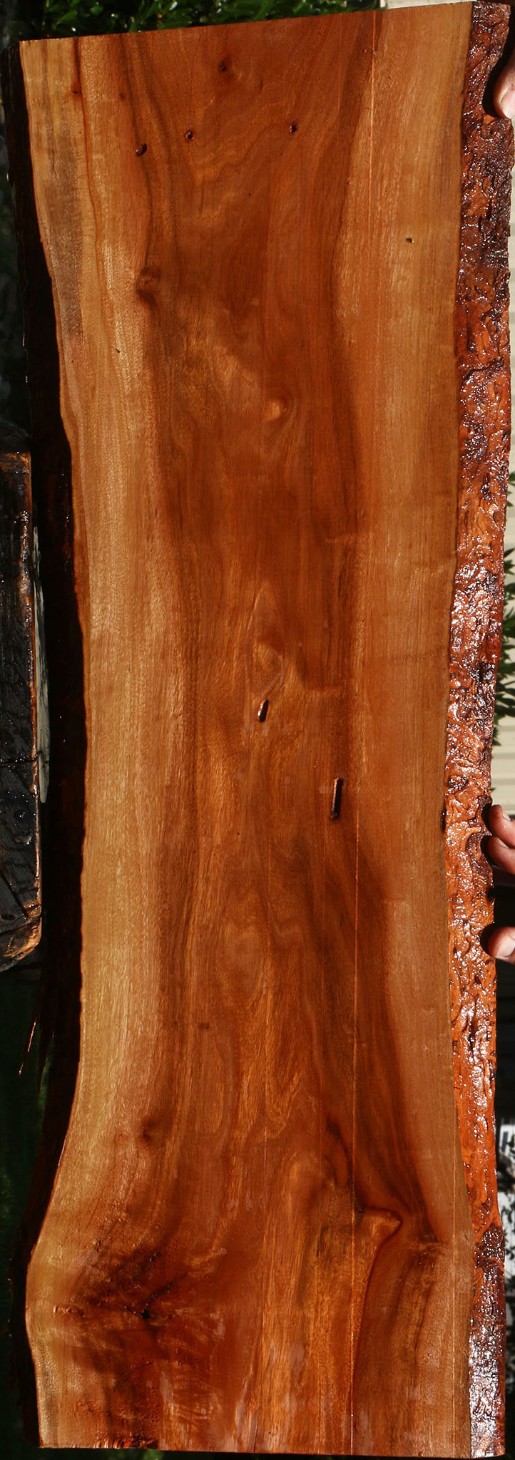 Figured Patagonian Rosewood Live Edge Lumber