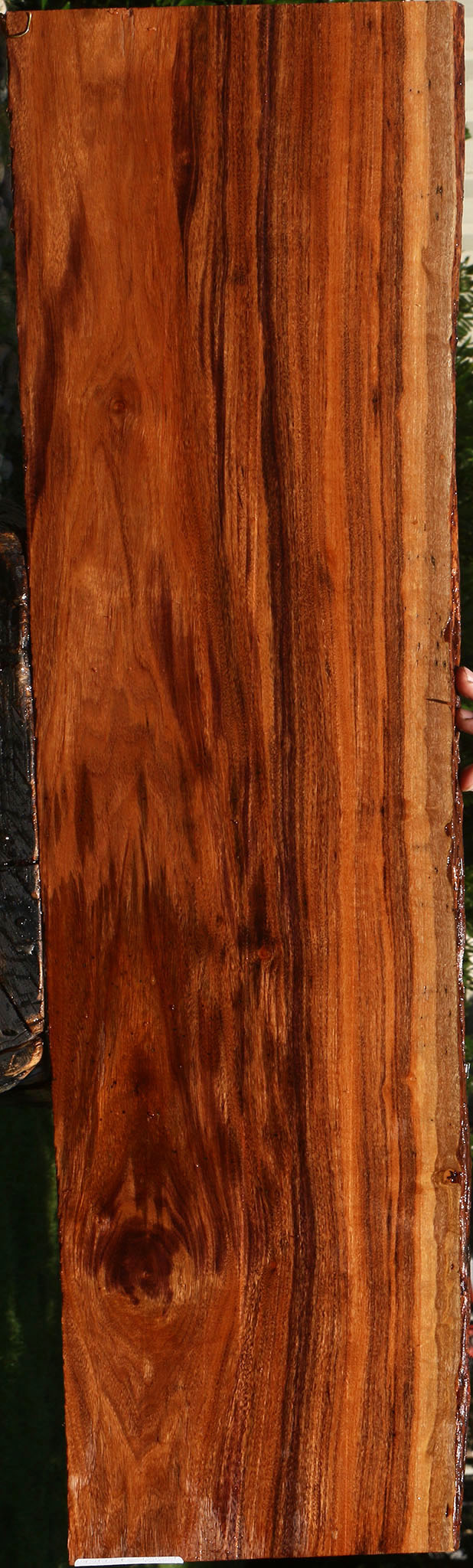 Patagonian Rosewood Live Edge Micro Lumber