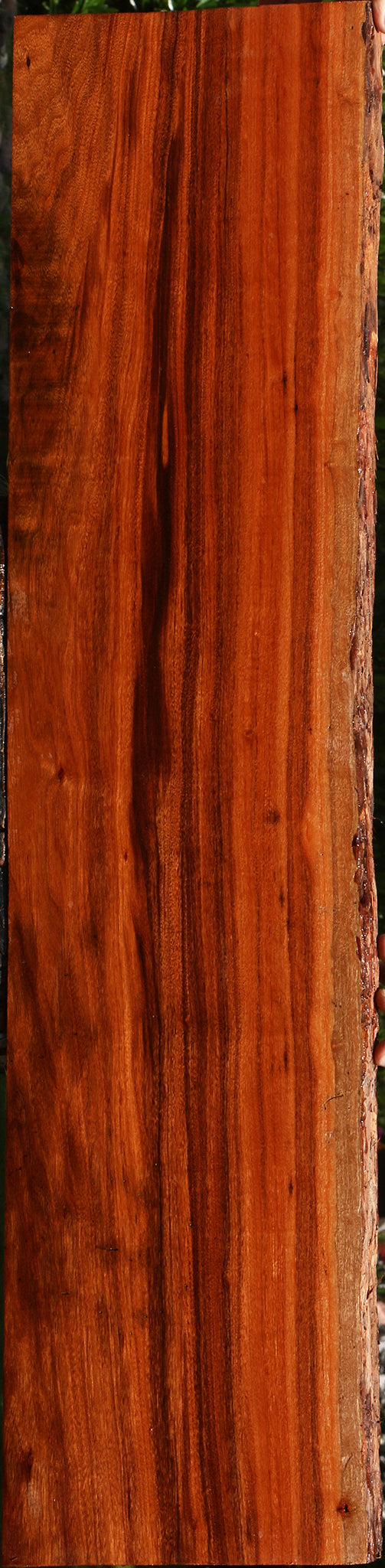 Figured Patagonian Rosewood Live Edge Lumber
