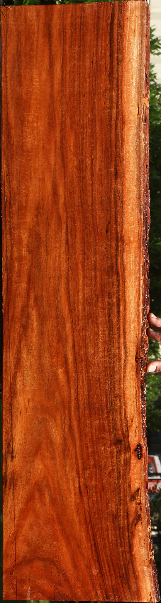 Extra Fancy Patagonian Rosewood Live Edge Lumber