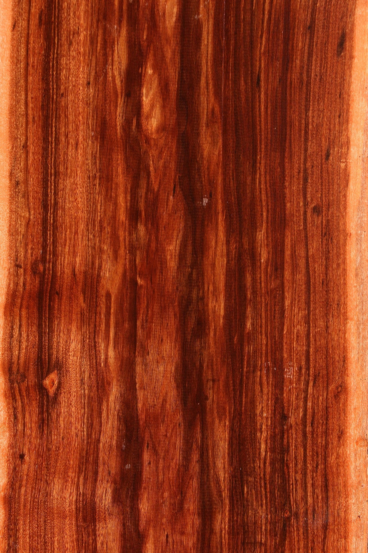 Extra Fancy Patagonian Rosewood Live Edge Lumber