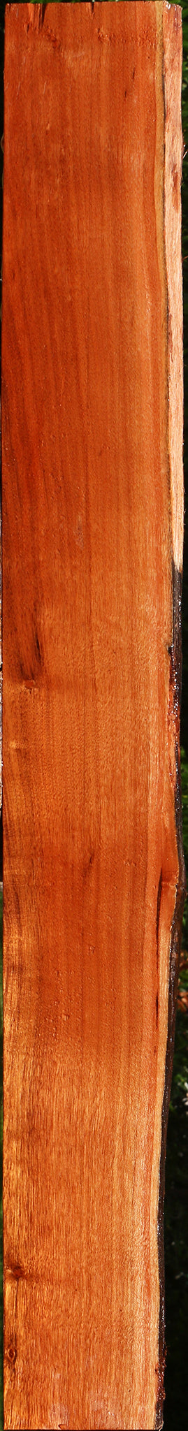 Patagonian Rosewood Live Edge Lumber