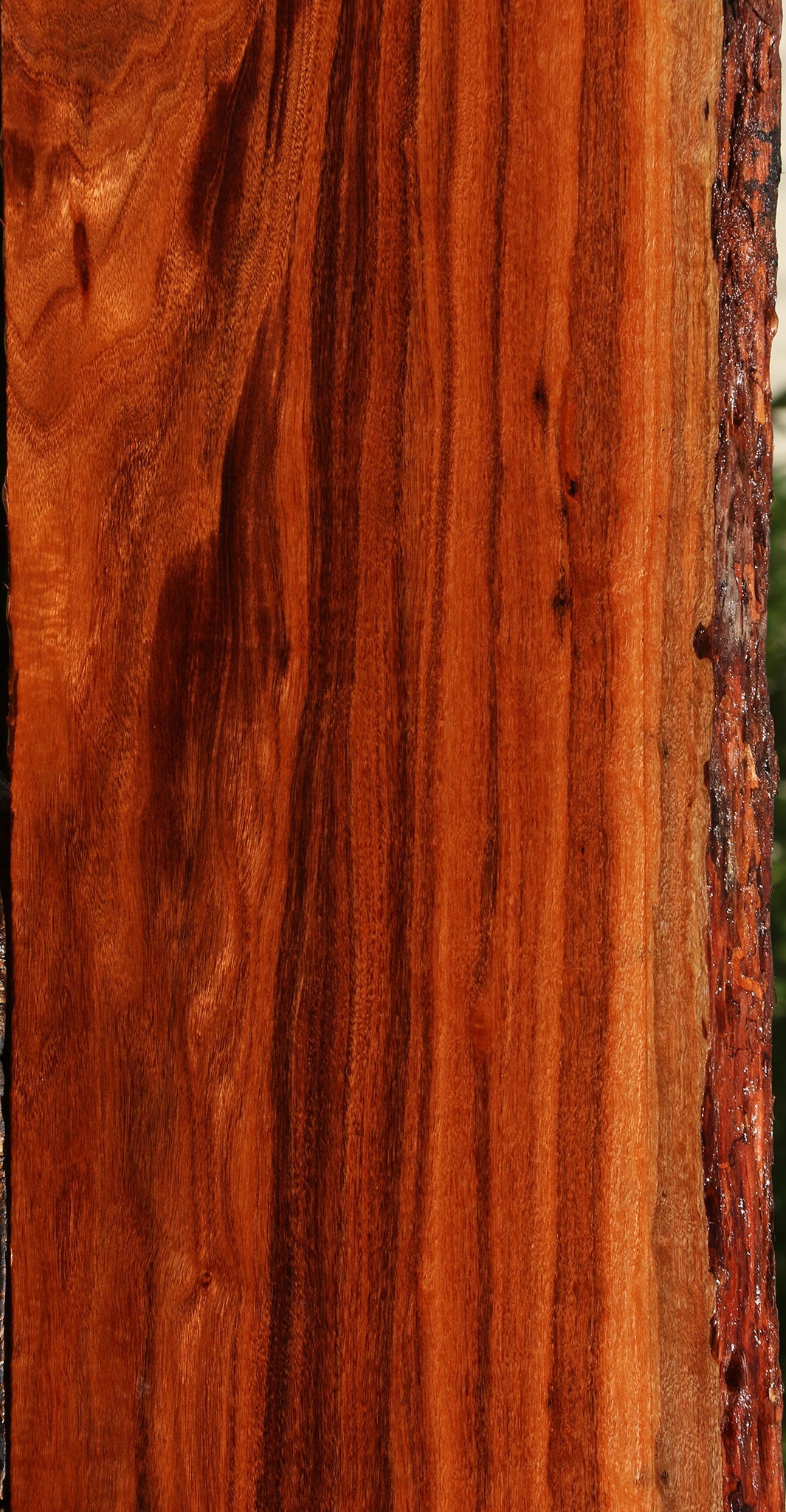 Extra Fancy Patagonian Rosewood Live Edge Lumber