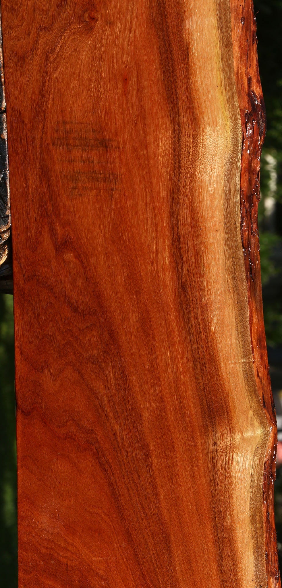 Patagonian Rosewood Live Edge Lumber