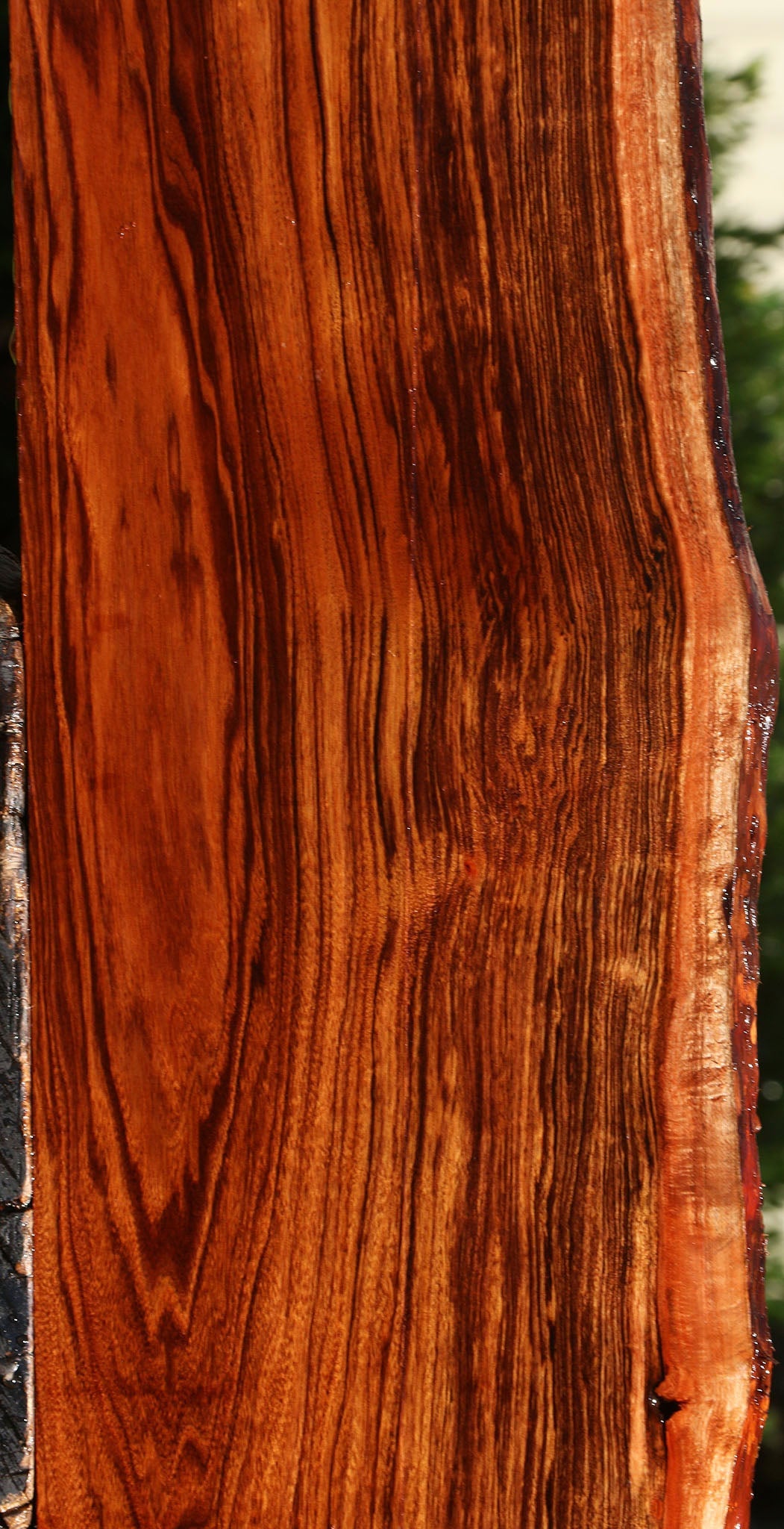 Extra Fancy Patagonian Rosewood Live Edge Lumber