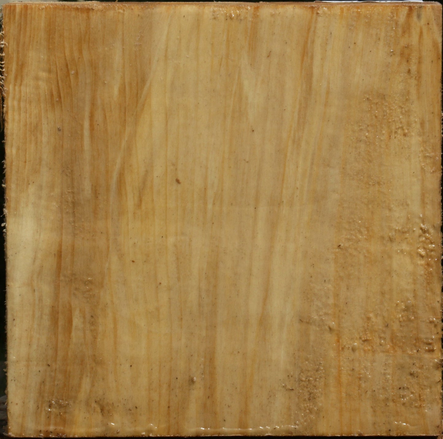 Black Cottonwood Bowl Blank
