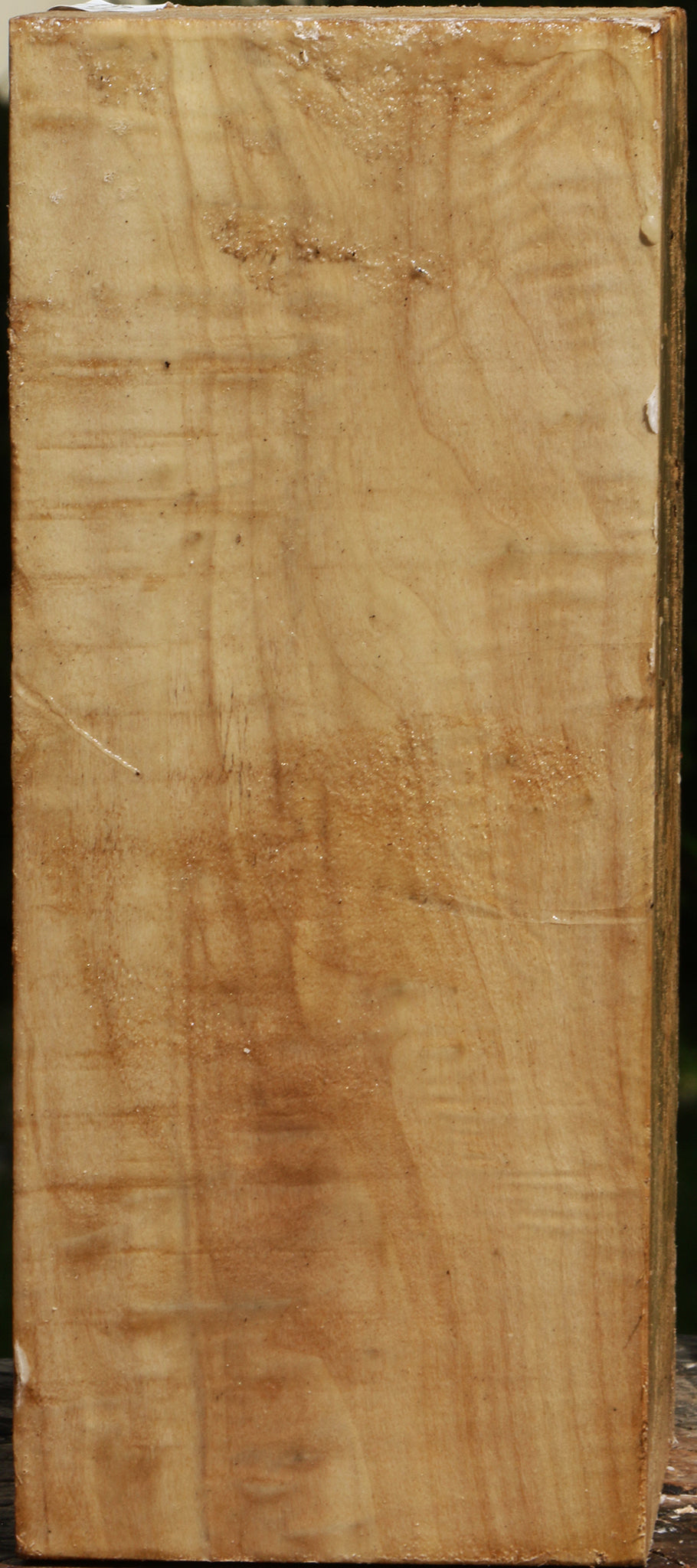Figured Black Cottonwood Turning Blank