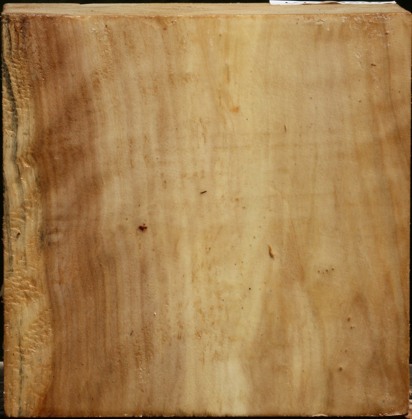 Figured Black Cottonwood Bowl Blank