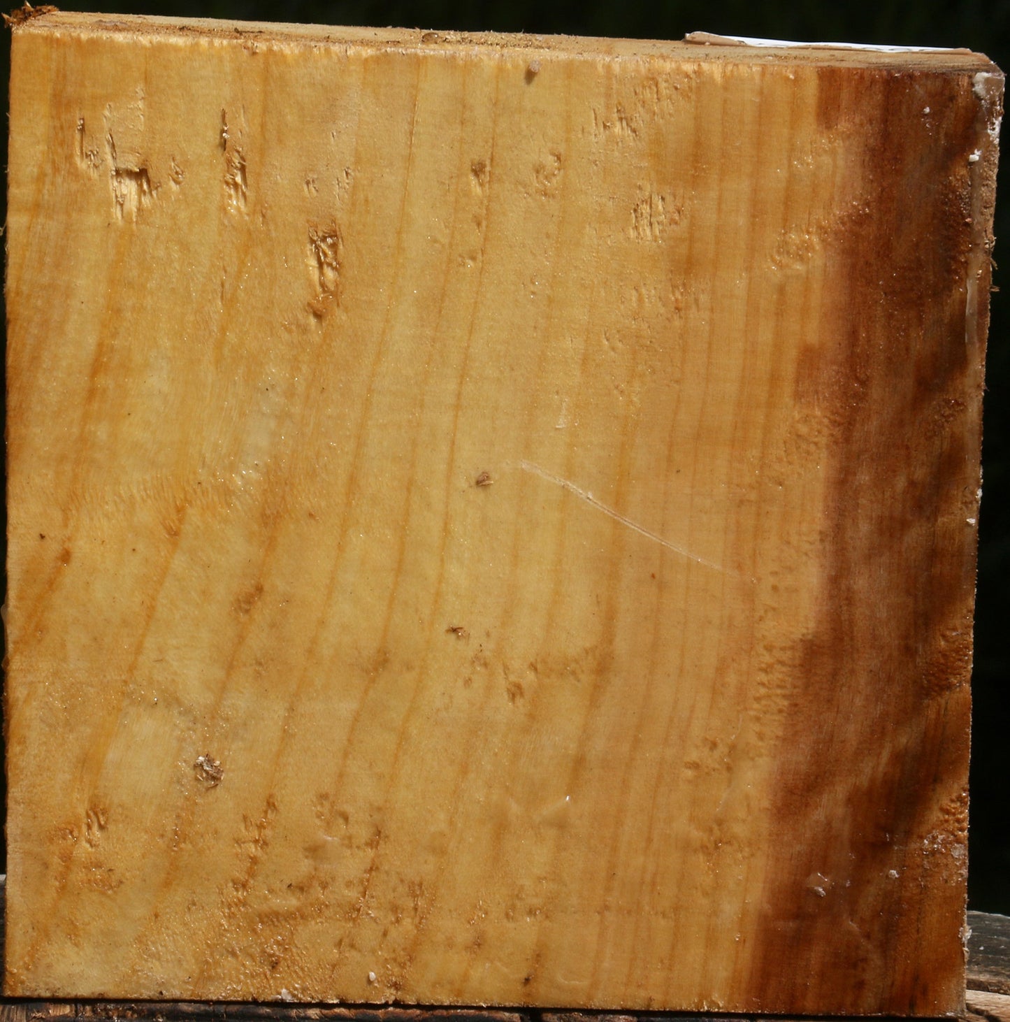 Figured Black Cottonwood Turning Blank