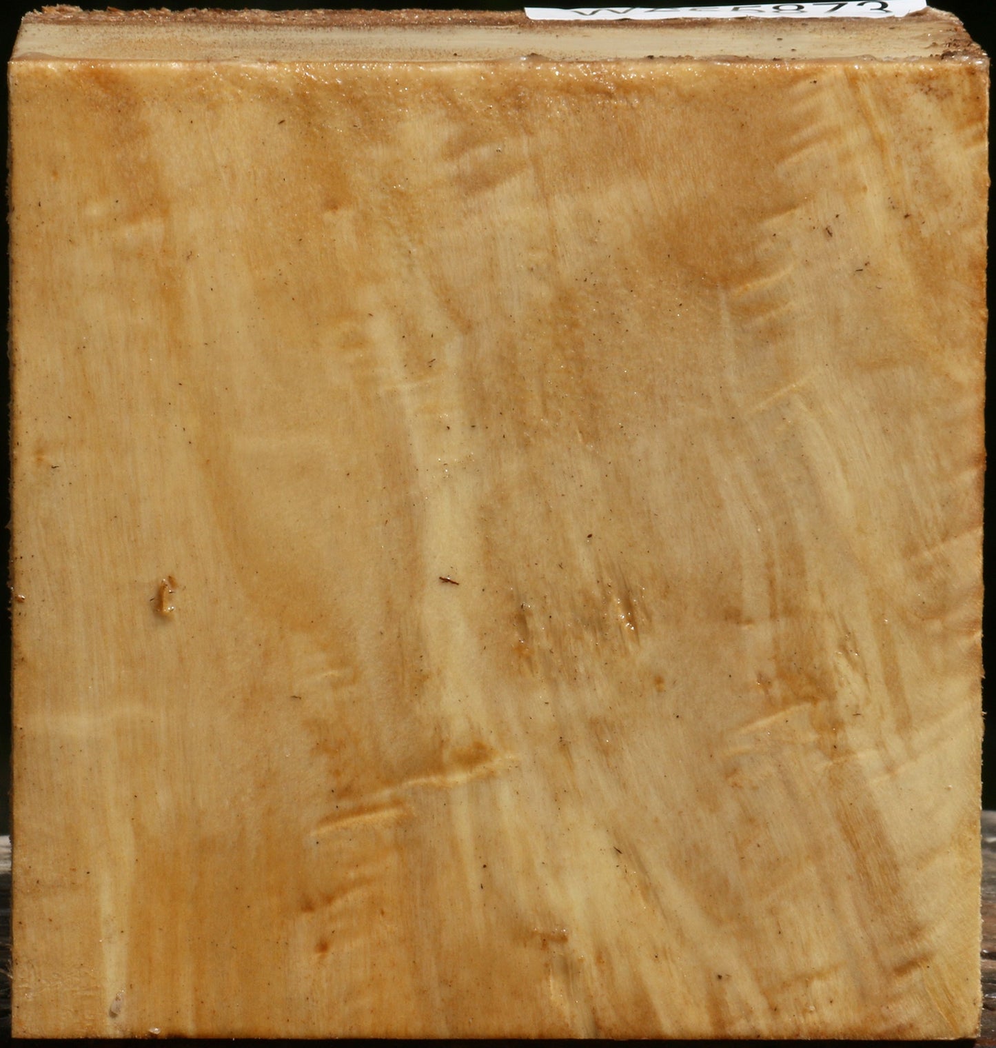 Figured Black Cottonwood Bowl Blank
