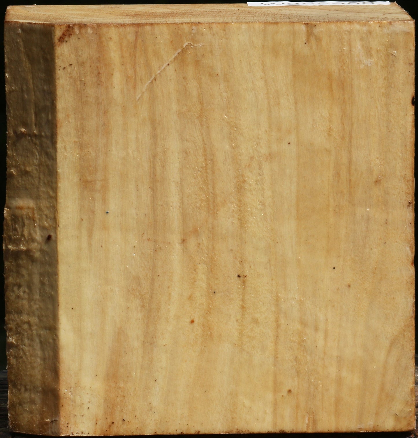 Black Cottonwood Bowl Blank