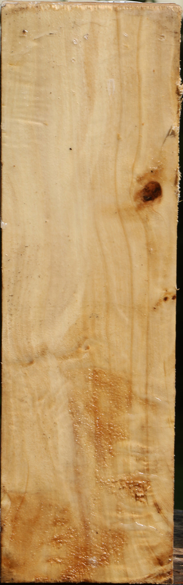 Figured Black Cottonwood Turning Blank