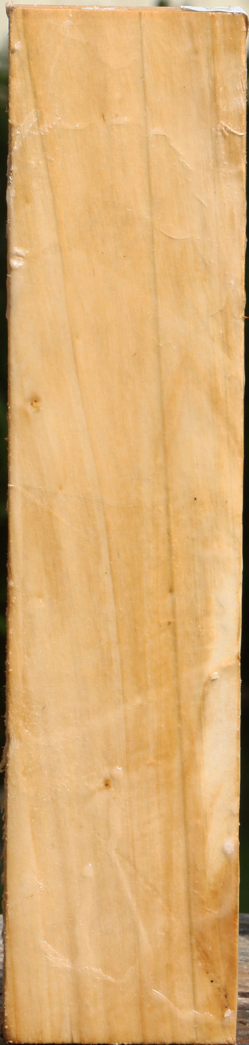 Black Cottonwood Peppermill