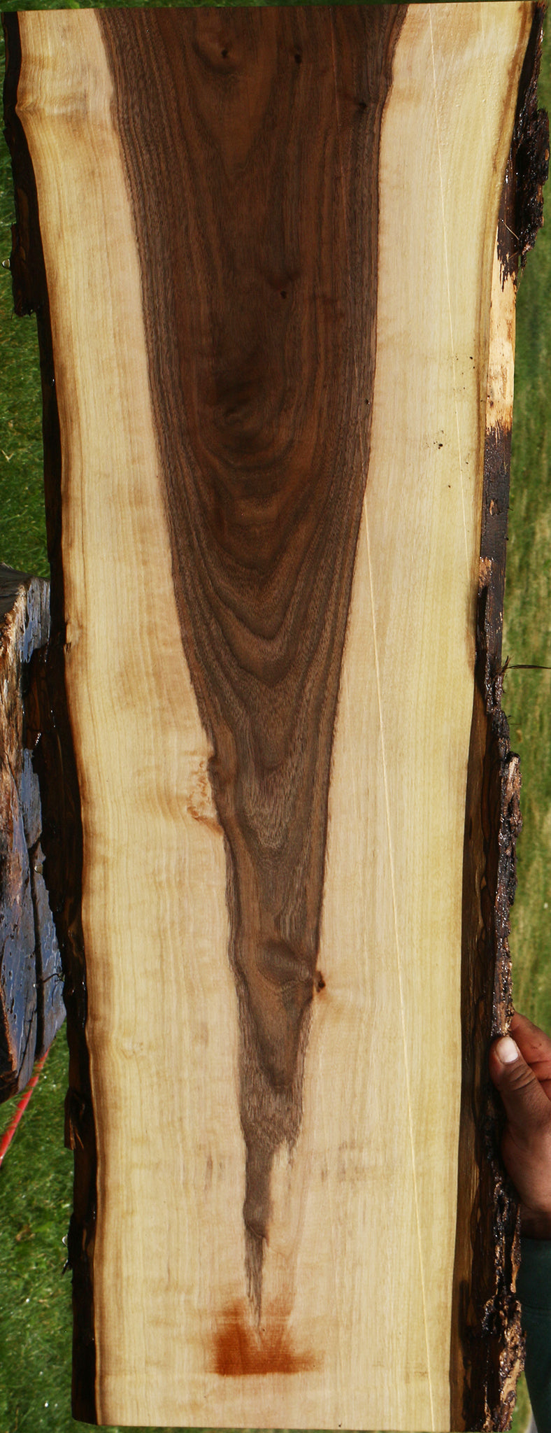 Claro Walnut Live Edge Lumber