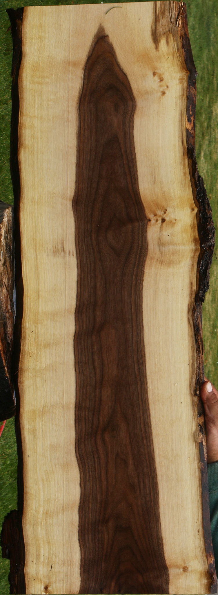 Claro Walnut Live Edge Lumber