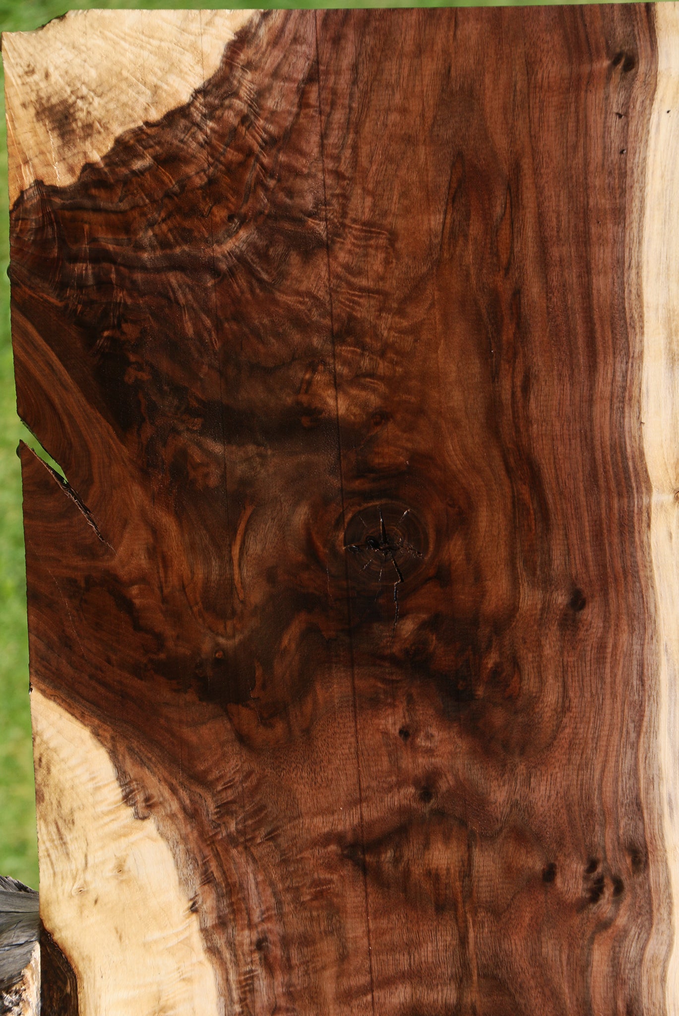 Extra Fancy Claro Walnut Live Edge Lumber