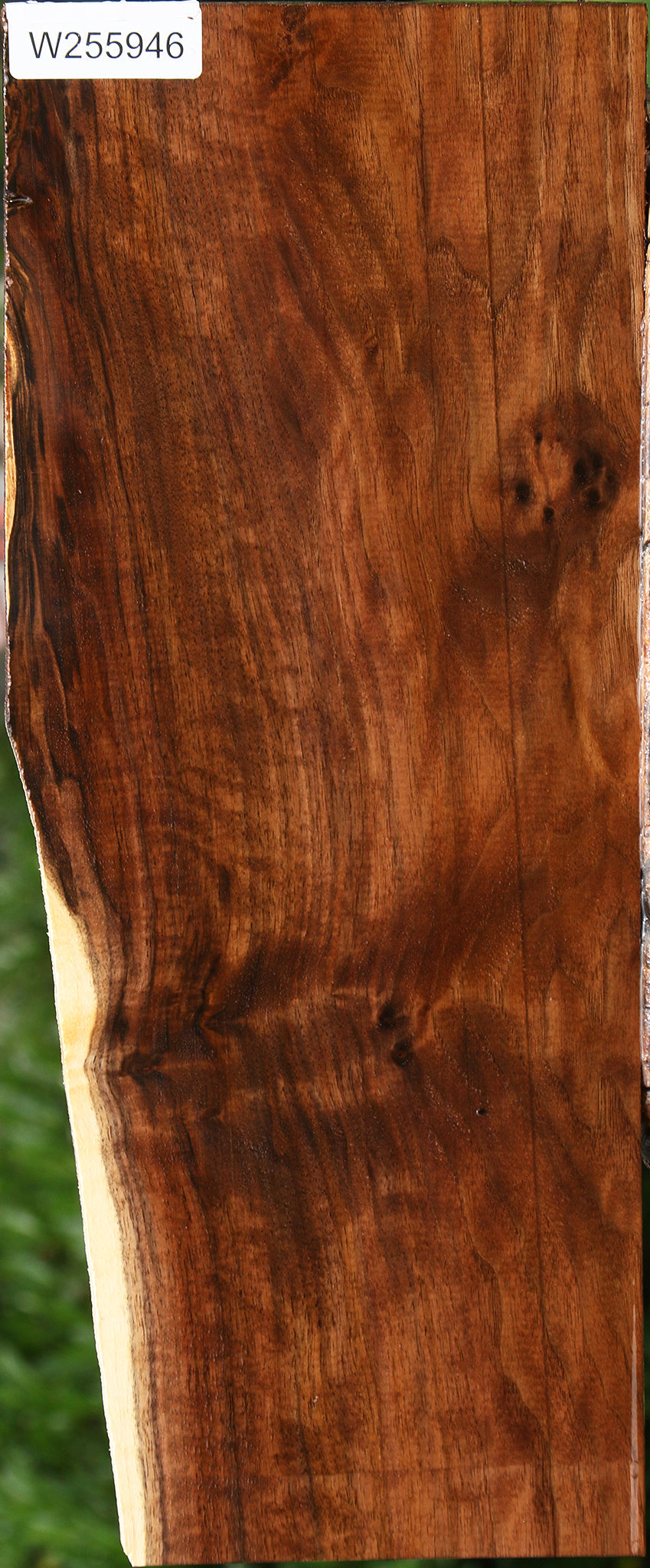 Figured Claro Walnut Lumber