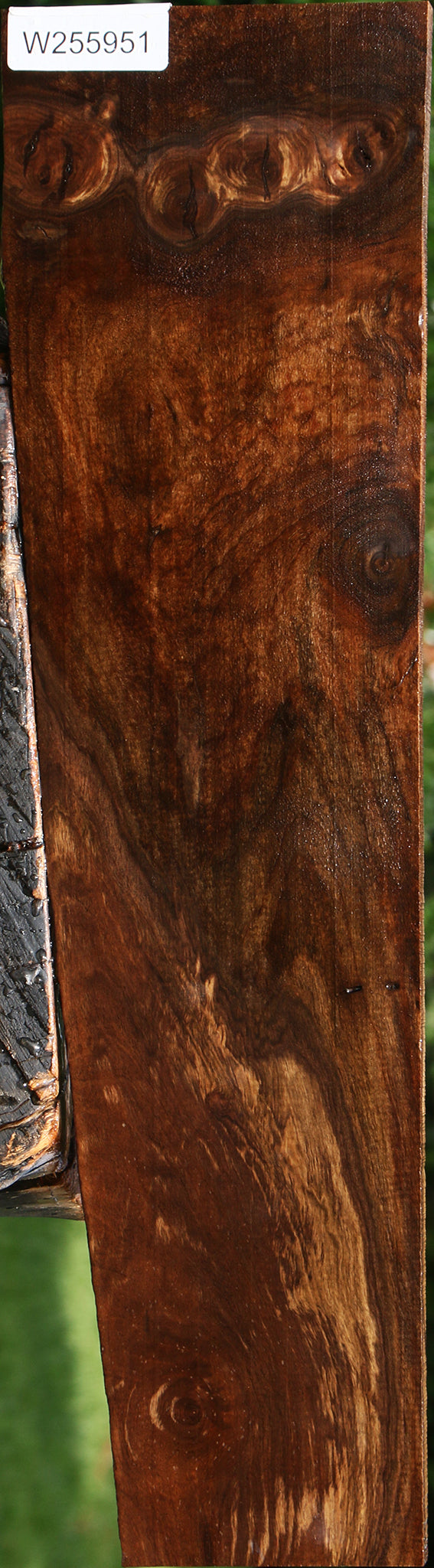 Figured Claro Walnut Lumber
