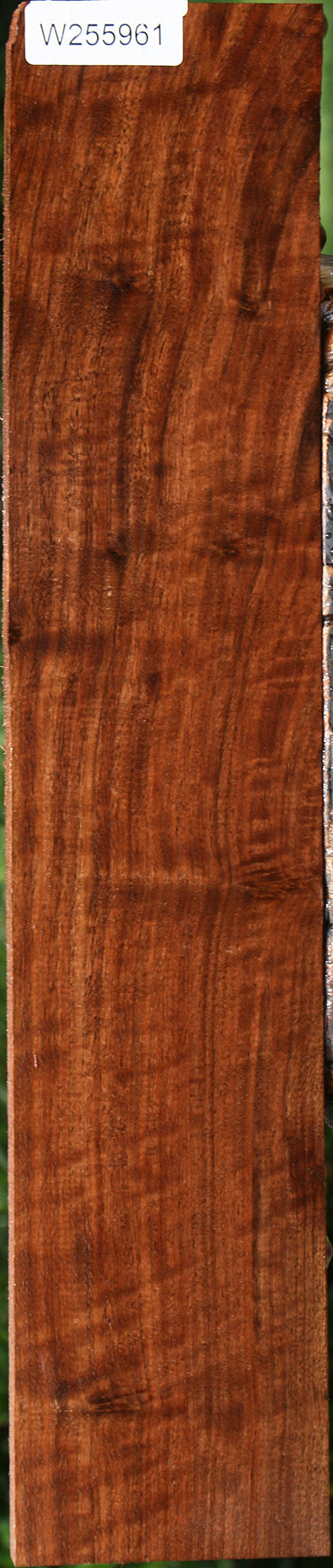 Extra Fancy Claro Walnut Lumber