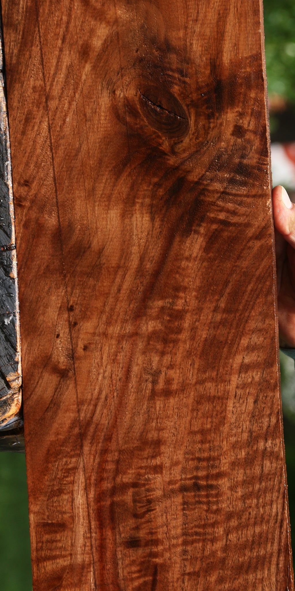 Extra Fancy Claro Walnut Lumber
