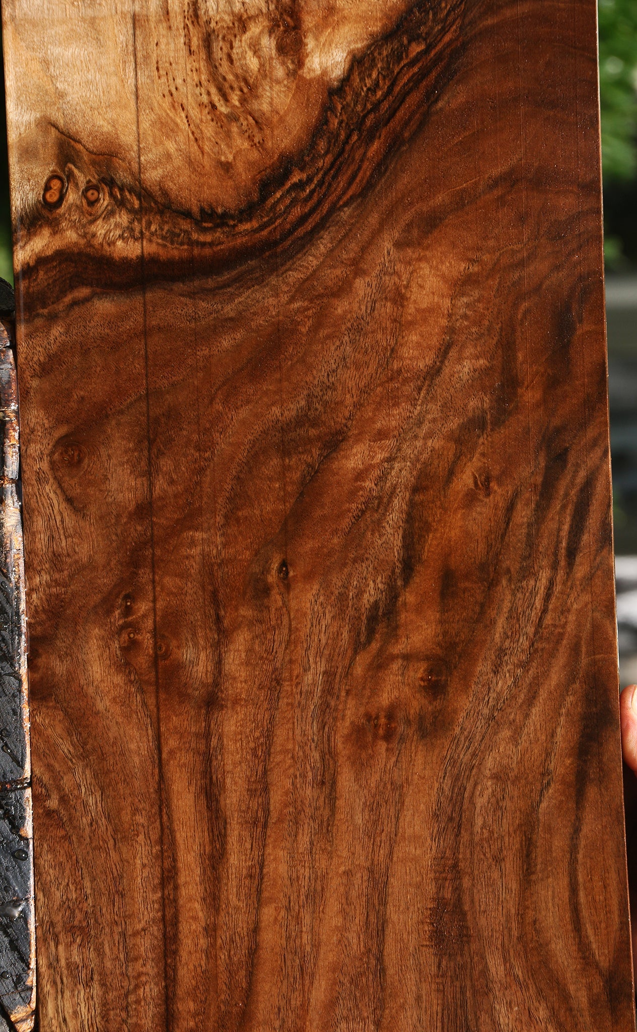 Figured Claro Walnut Micro Lumber