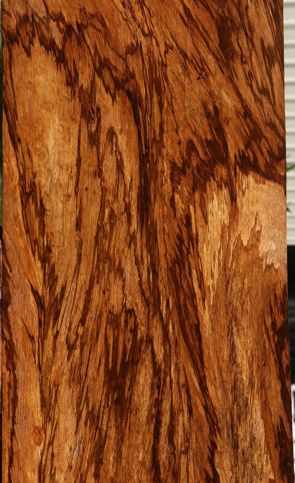 Extra Fancy Zebrawood Lumber