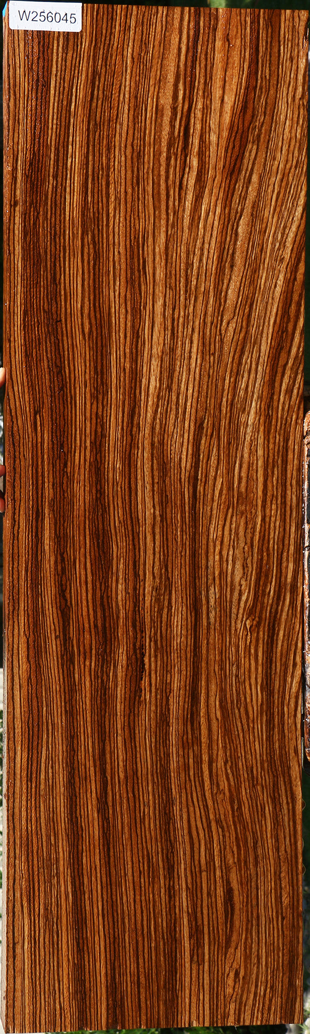 Quartersawn Zebrawood Lumber