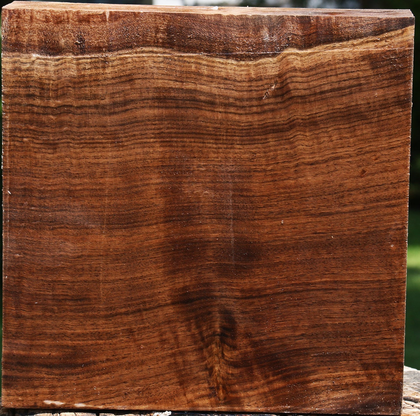 Figured Claro Walnut Bowl Blank