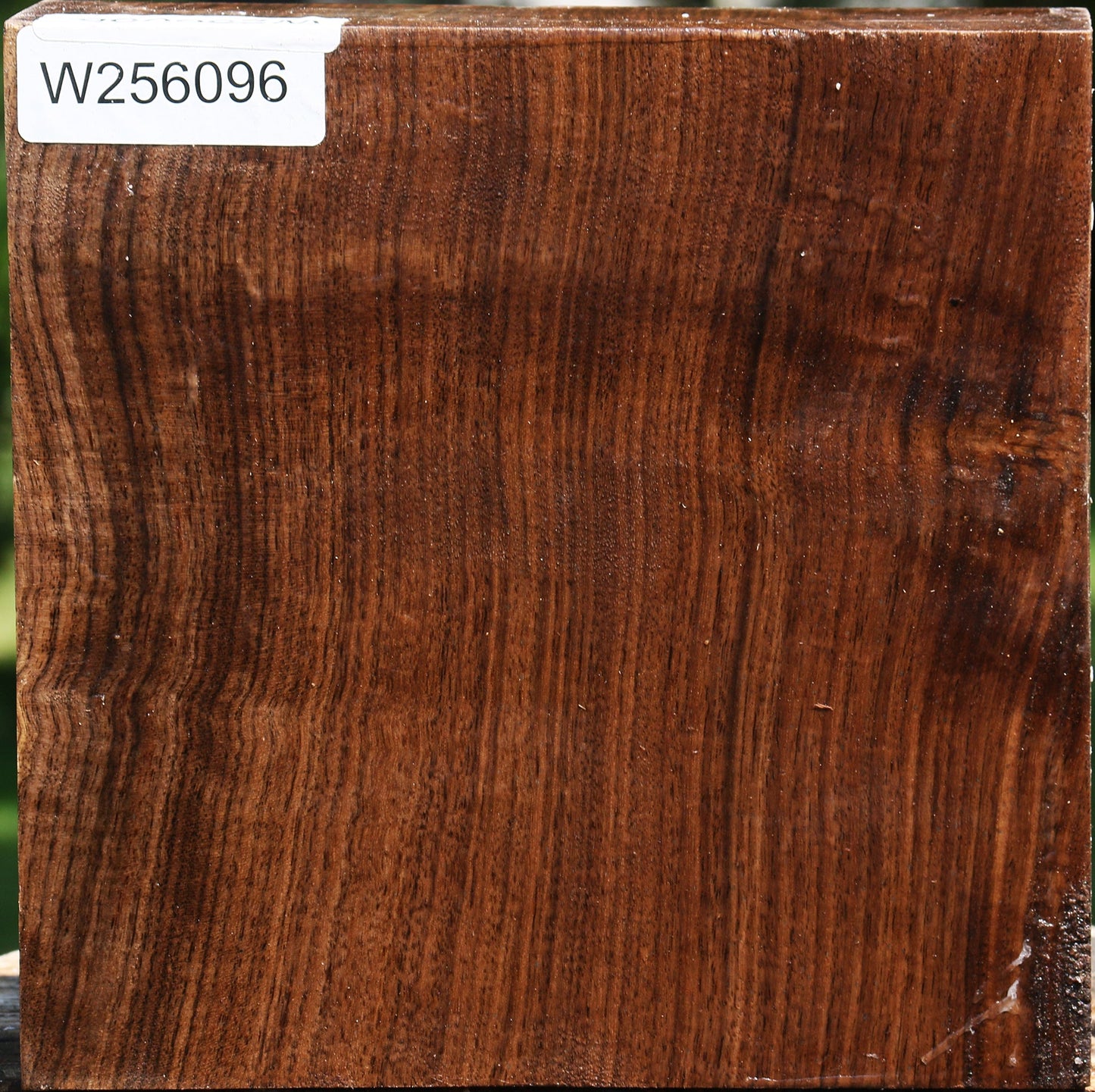 Claro Walnut Bowl Blank