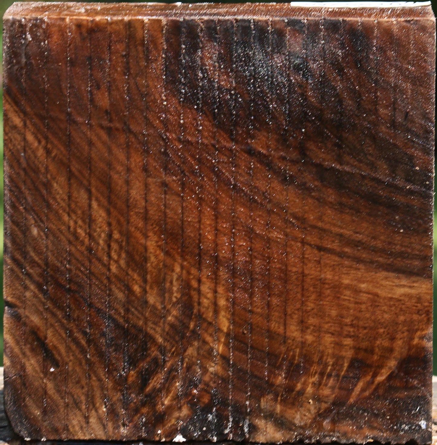 Claro Walnut Bowl Blank