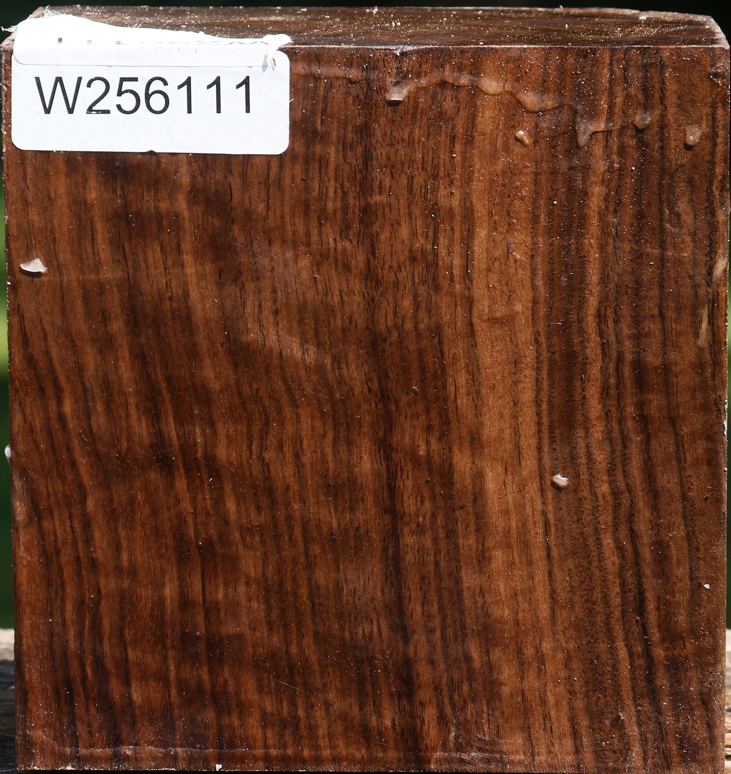 Figured Claro Walnut Bowl Blank