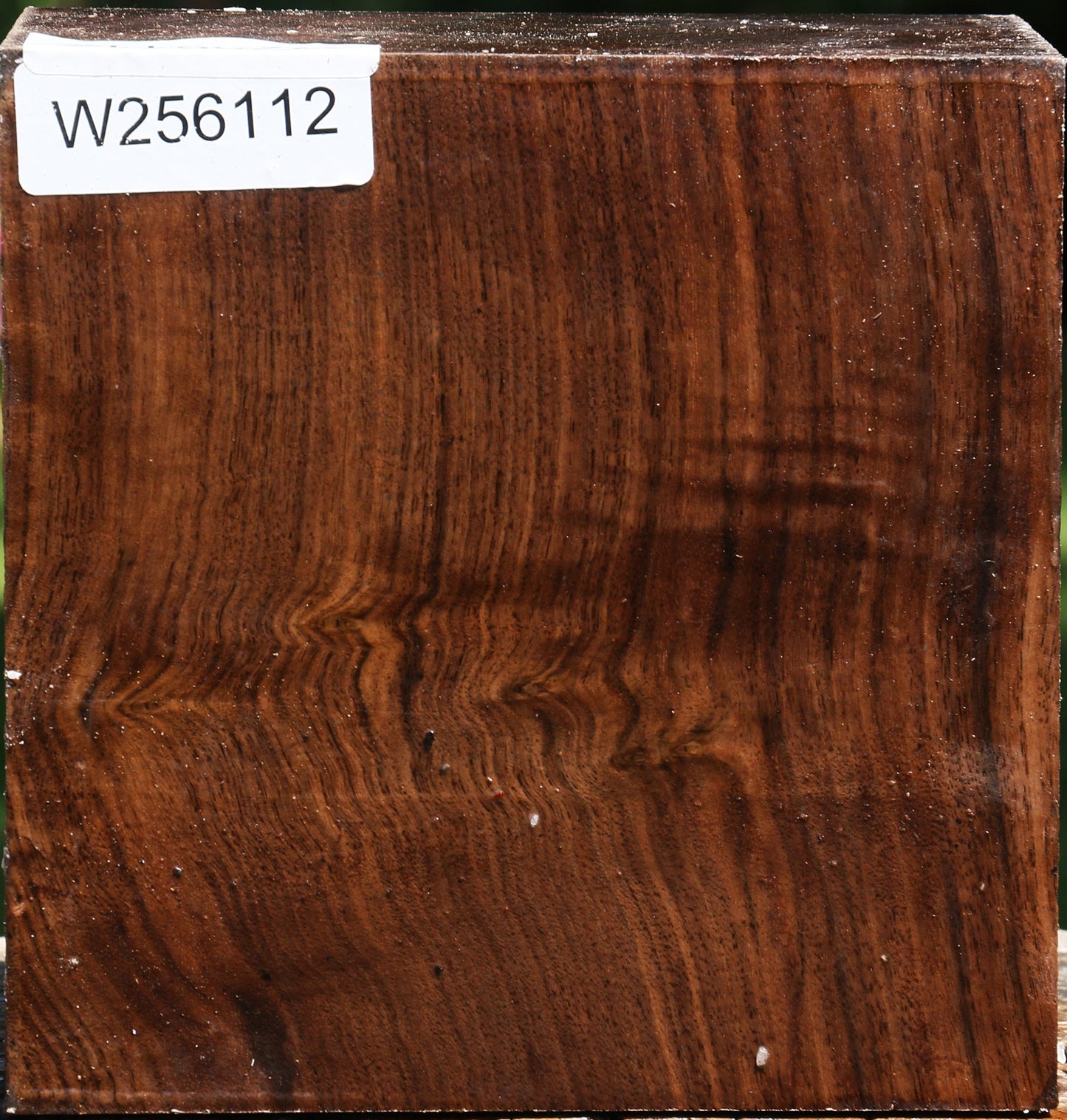 Figured Claro Walnut Bowl Blank
