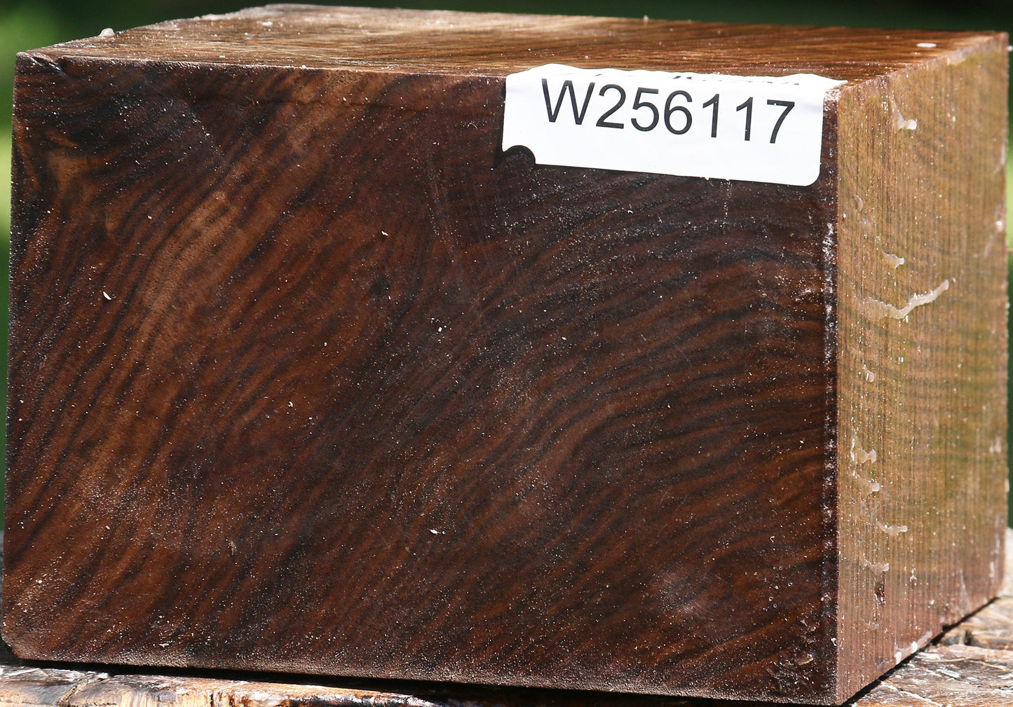 Figured Claro Walnut Bowl Blank
