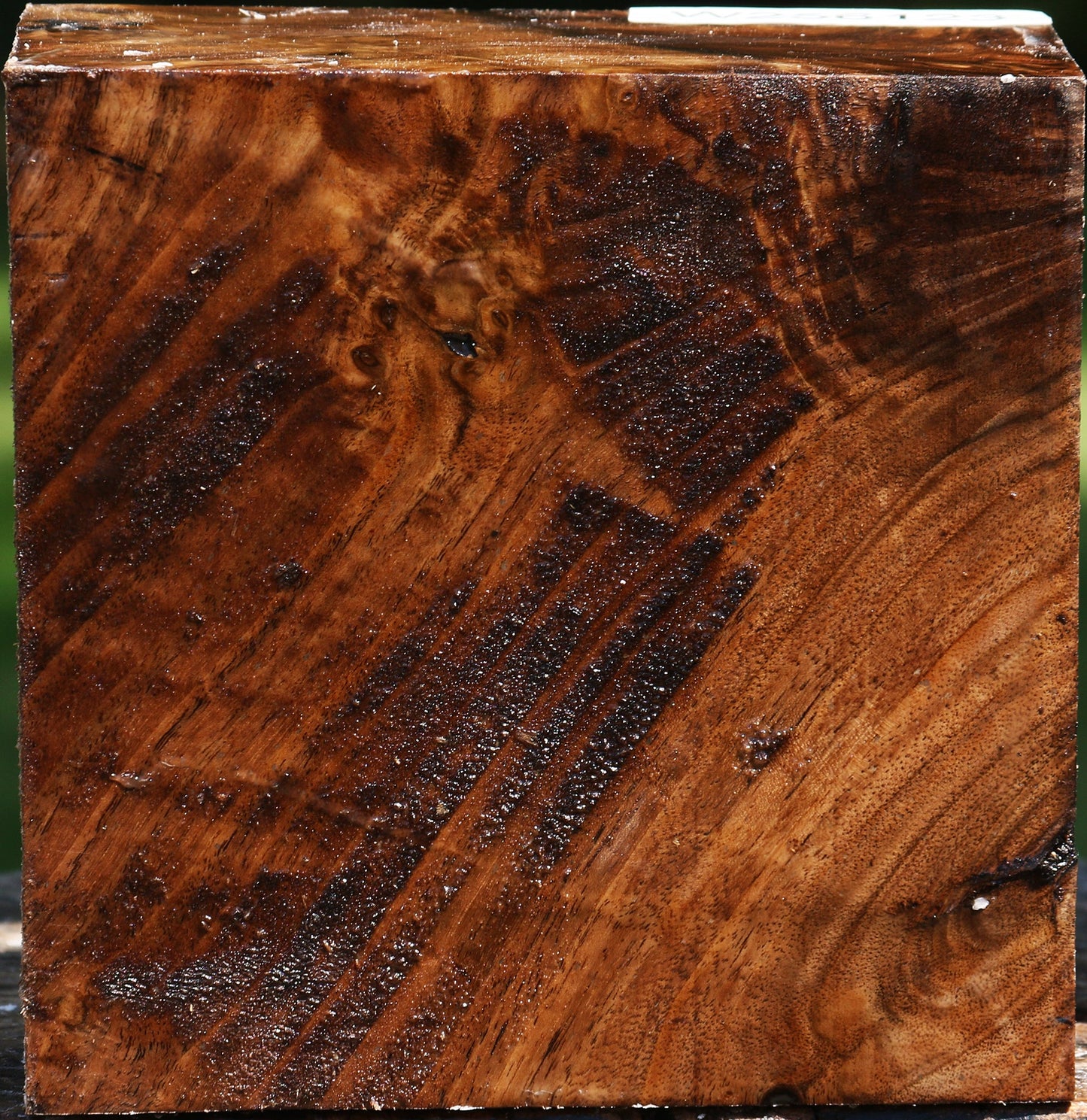 Figured Claro Walnut Bowl Blank