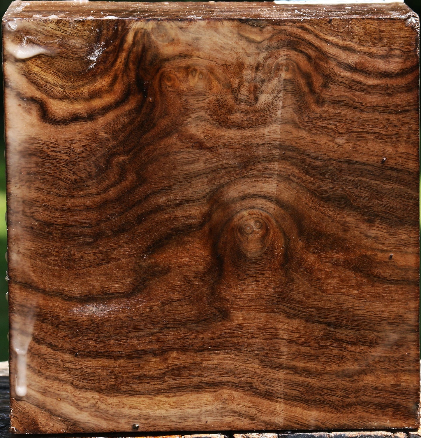 Claro Walnut Bowl Blank
