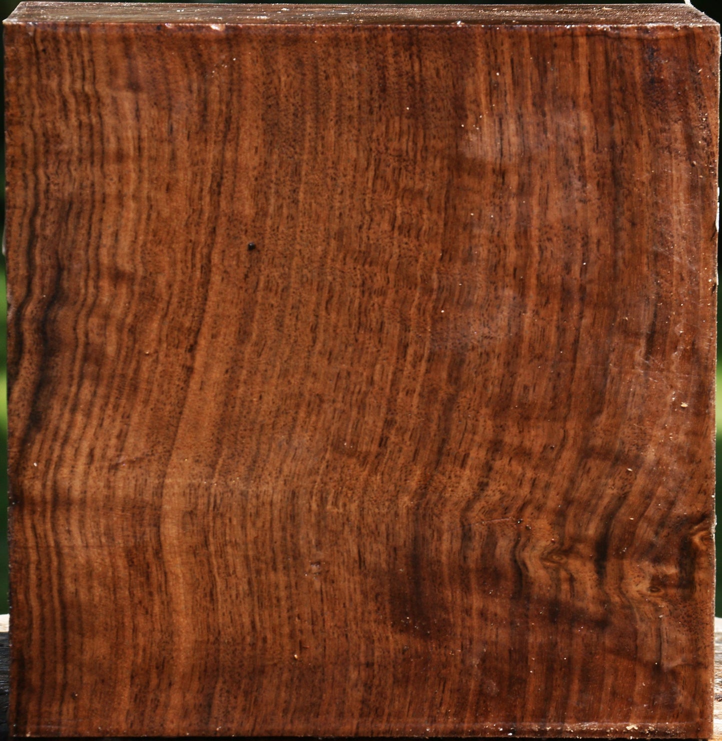 Figured Claro Walnut Bowl Blank