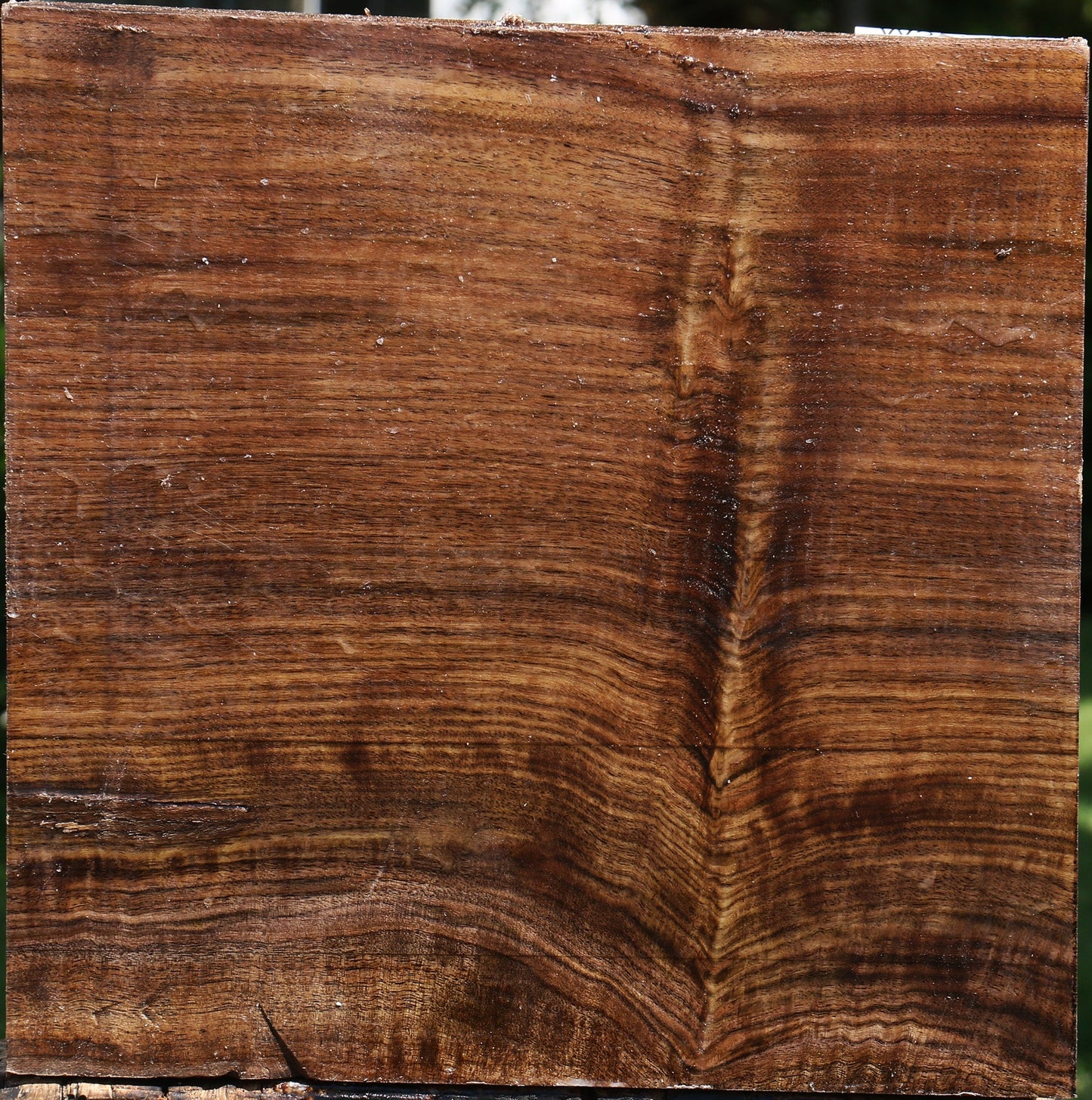 Figured Claro Walnut Bowl Blank
