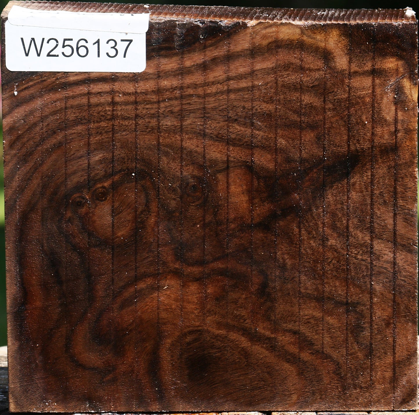 Claro Walnut Bowl Blank