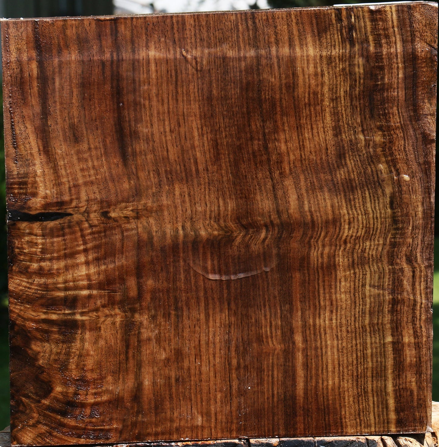 Figured Claro Walnut Bowl Blank