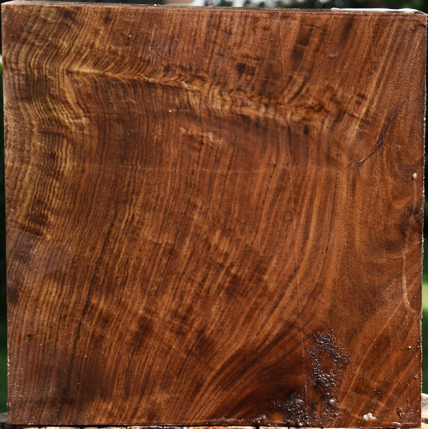 Figured Claro Walnut Bowl Blank