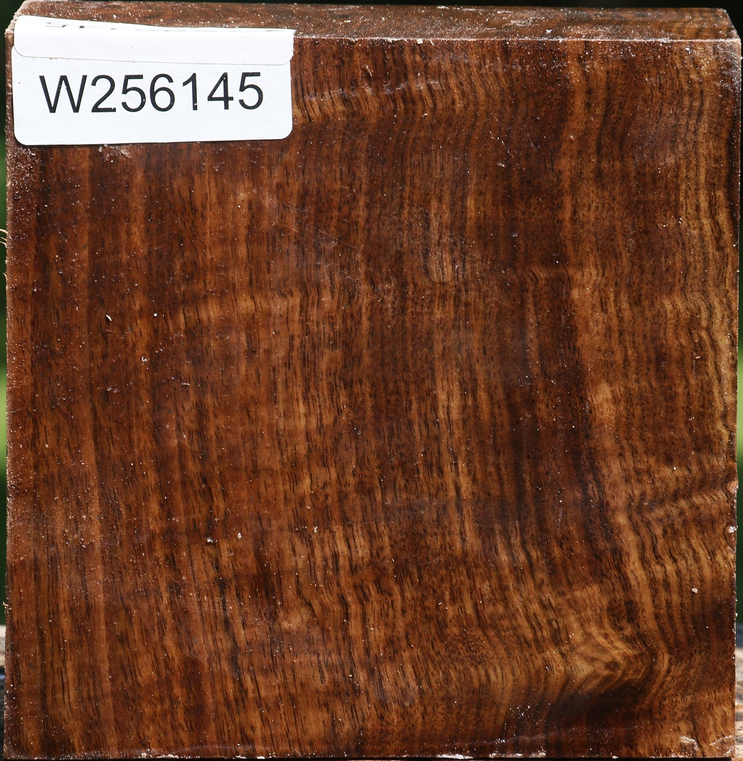 Figured Claro Walnut Bowl Blank