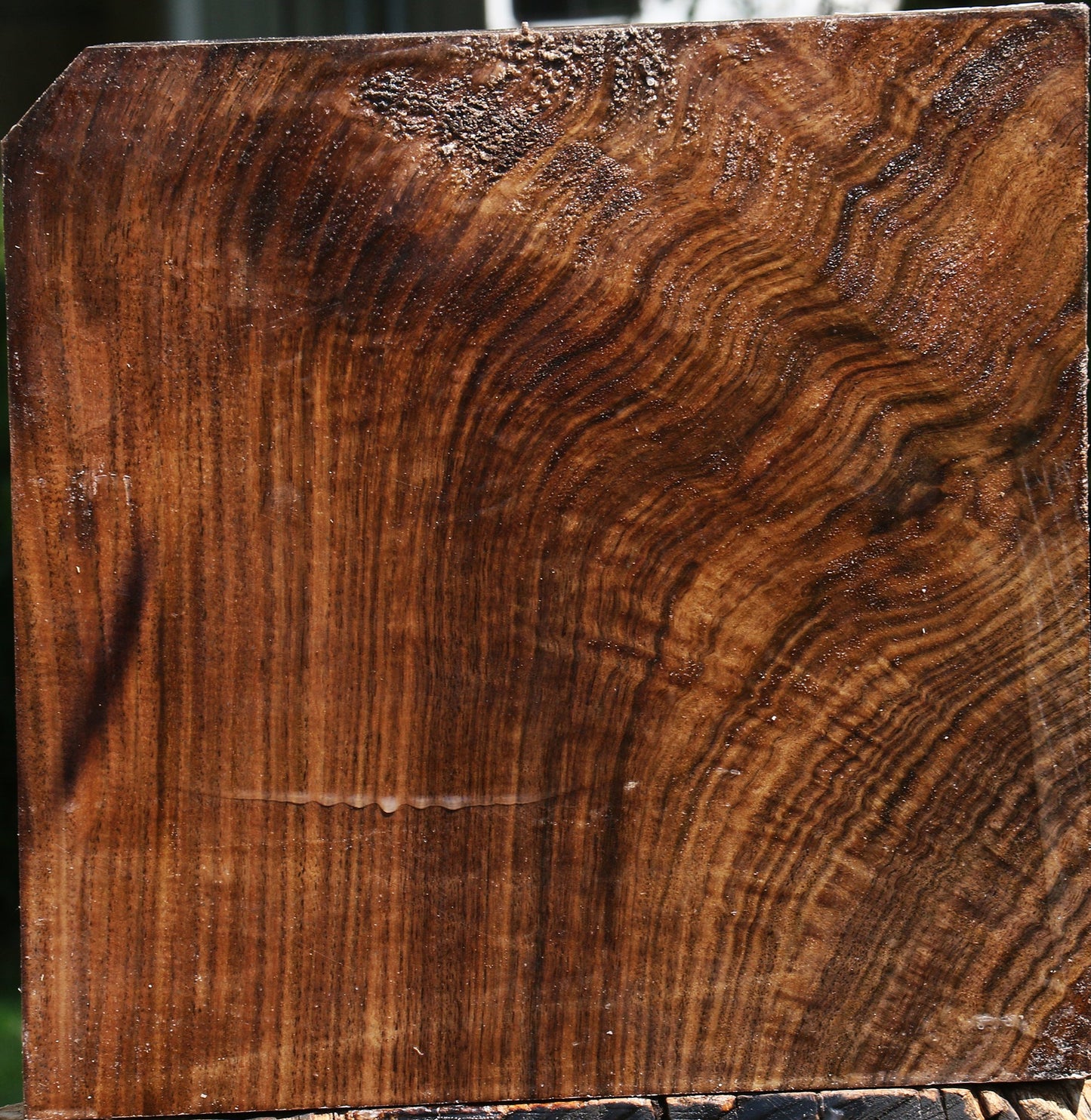 Extra Fancy Claro Walnut Bowl Blank