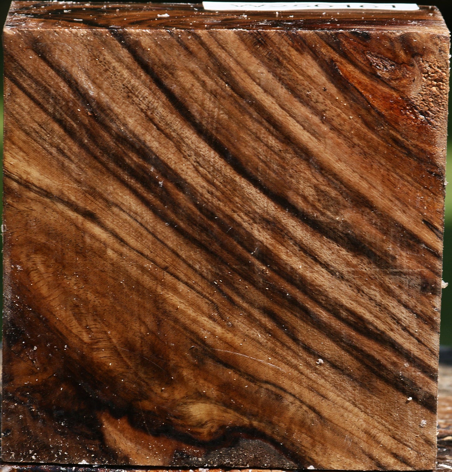 Extra Fancy Claro Walnut Bowl Blank