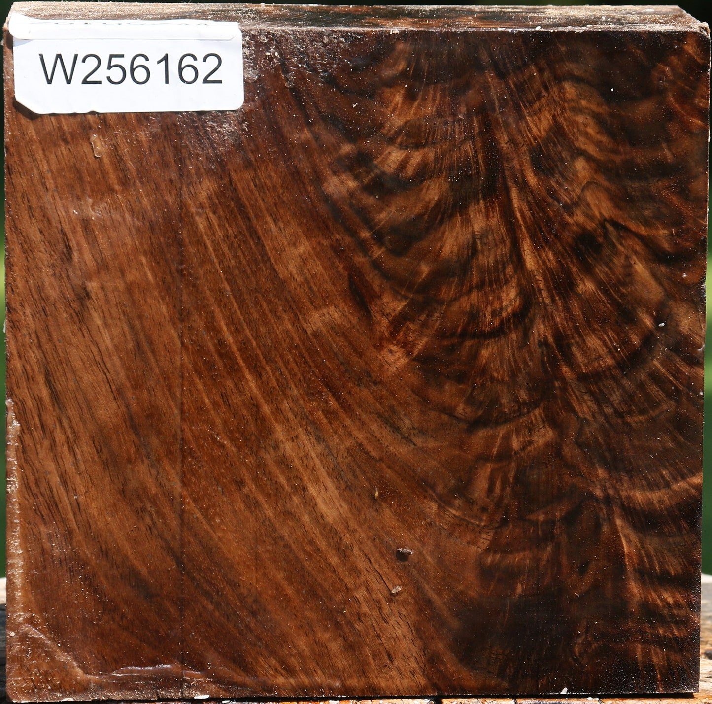 Extra Fancy Claro Walnut Bowl Blank