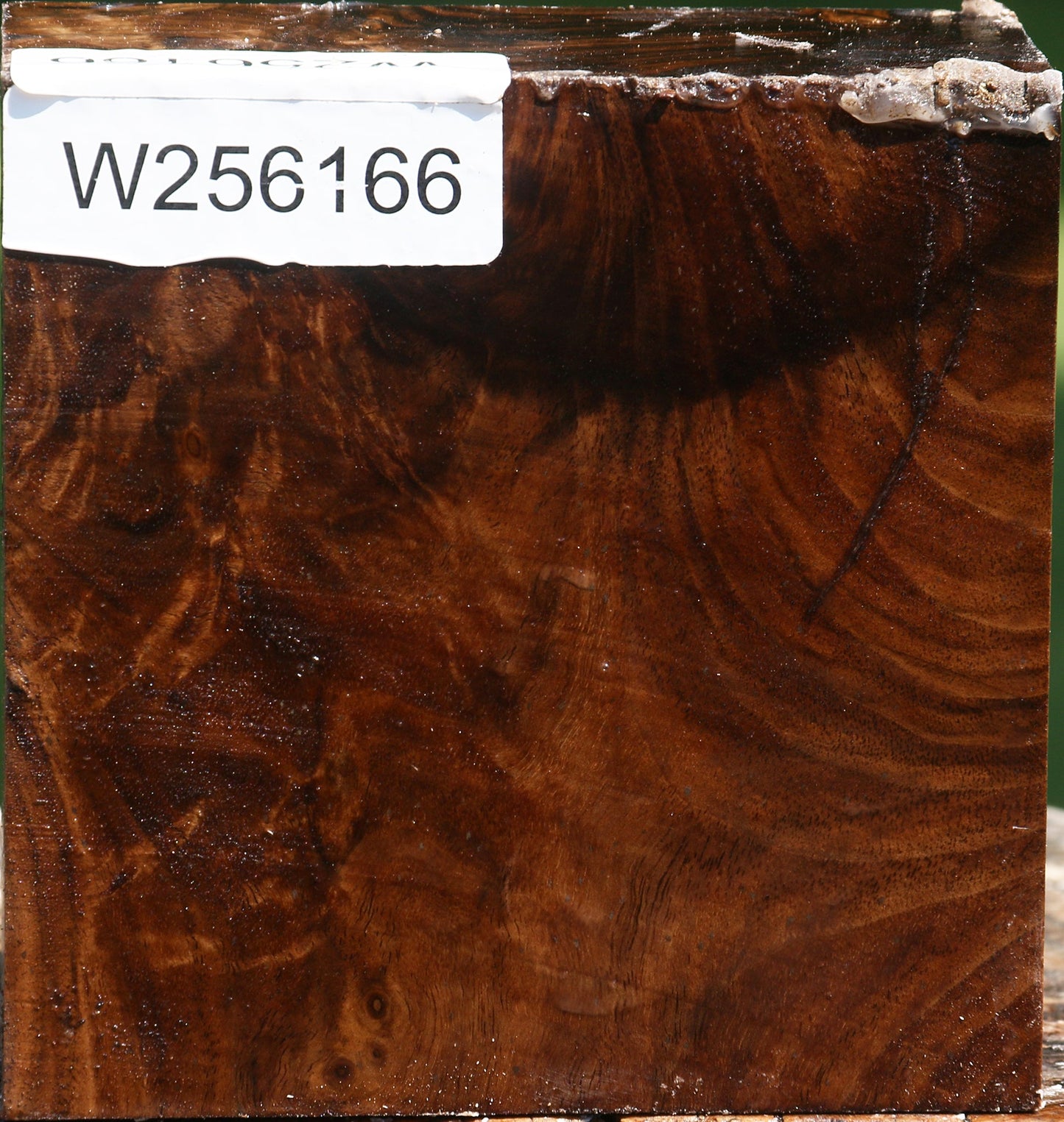 Figured Claro Walnut Bowl Blank