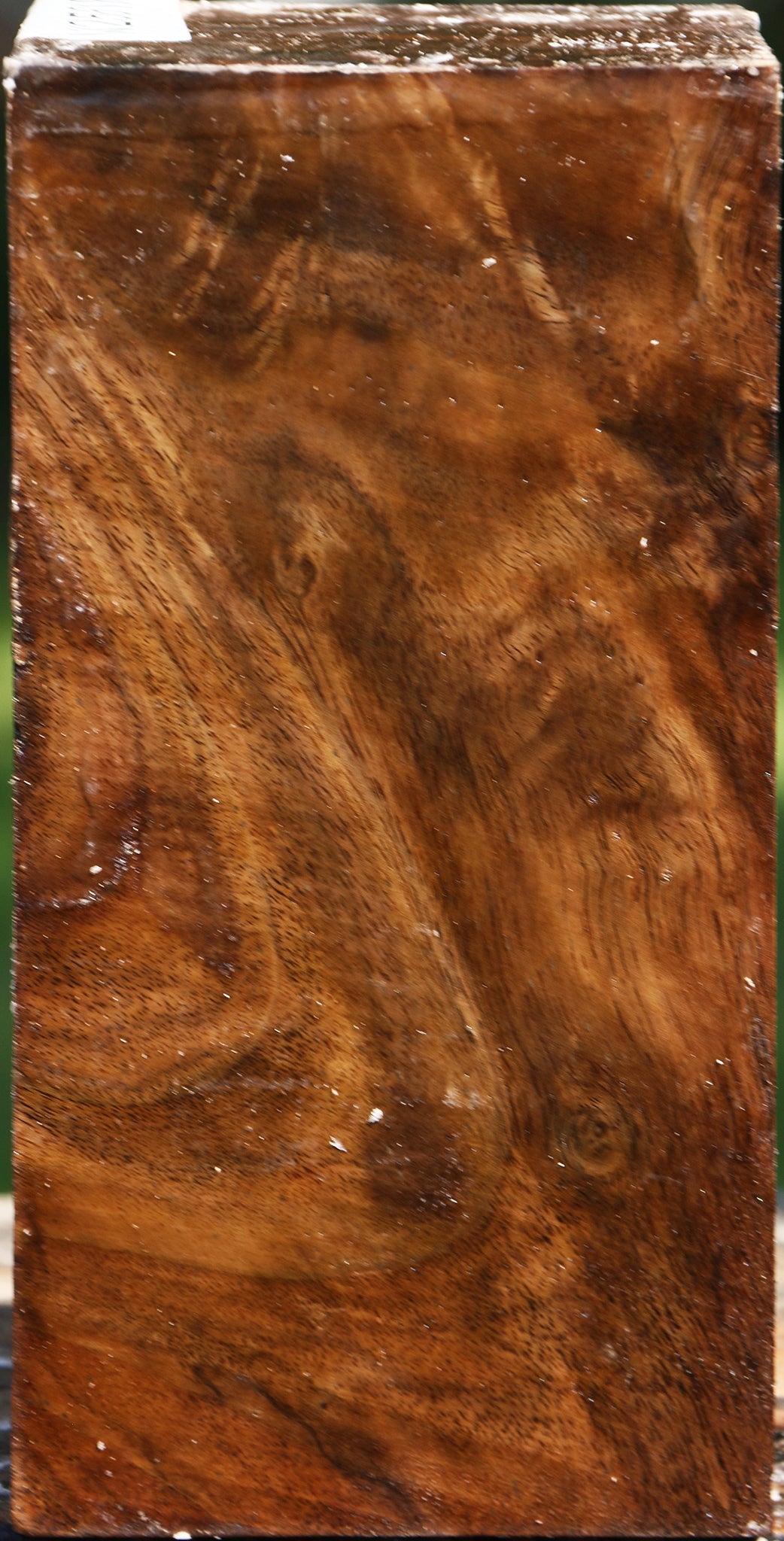 Figured Claro Walnut Turning Blank