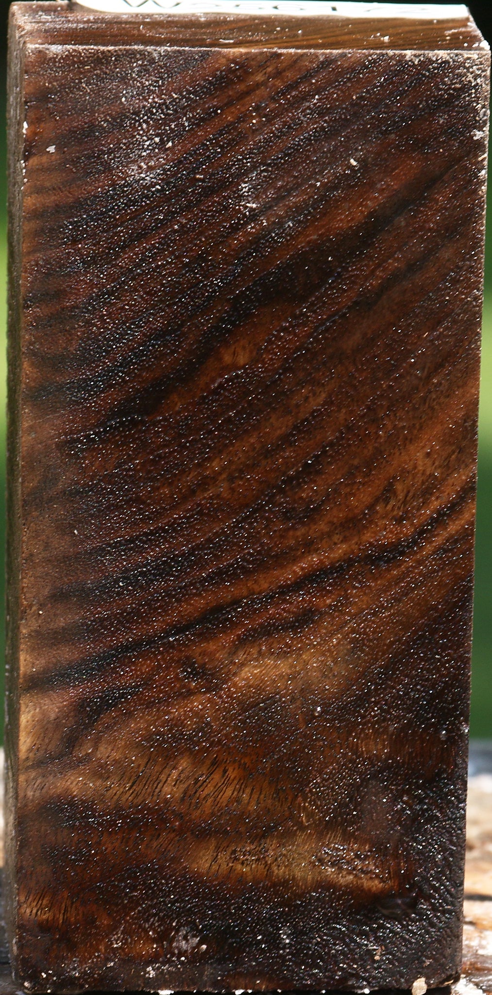 Claro Walnut Bowl Blank