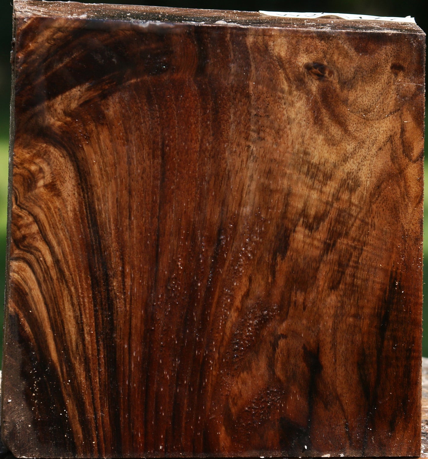 Figured Claro Walnut Bowl Blank